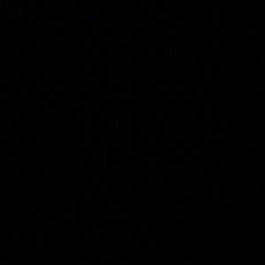 Meet your Posher, Brayan